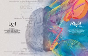 mercedesleftrightbrain1